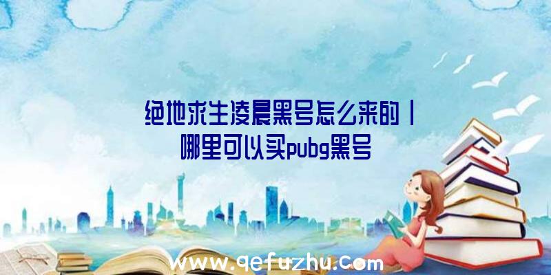 「绝地求生凌晨黑号怎么来的」|哪里可以买pubg黑号